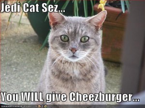 Heauehauehauehaueh XD gato-jedi