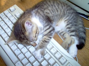 Urgh! Preciso... es... tu... dar...