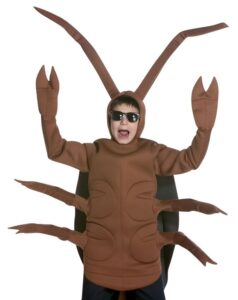 iedmb