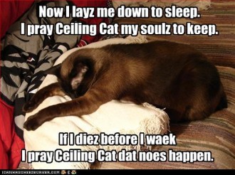oidocqe